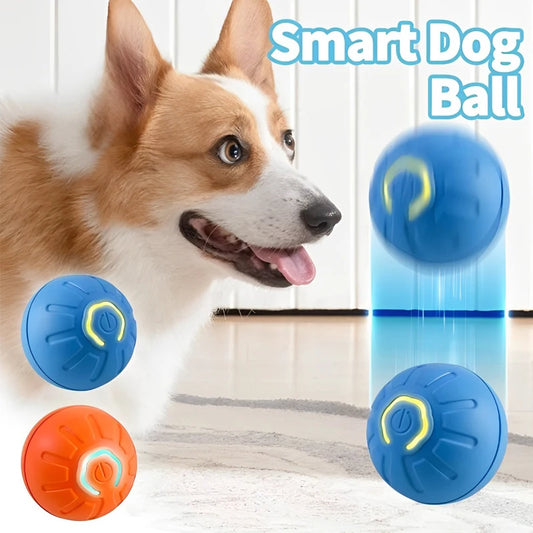 Smart Dog Toy Ball